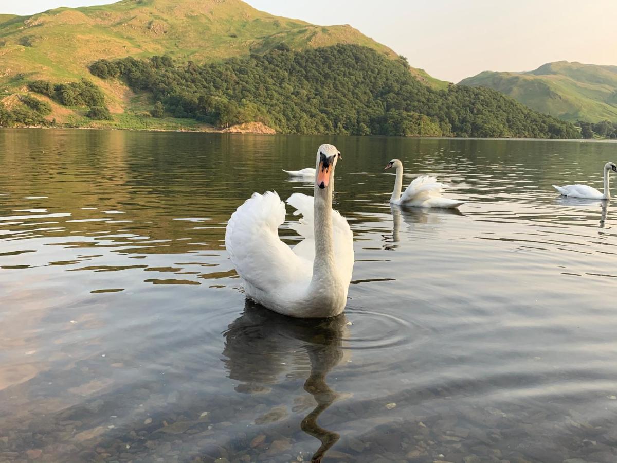 The Ullswater View Guest House Watermillock Экстерьер фото